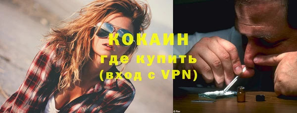 шишки Заводоуковск