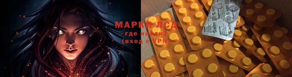 герыч Ельня