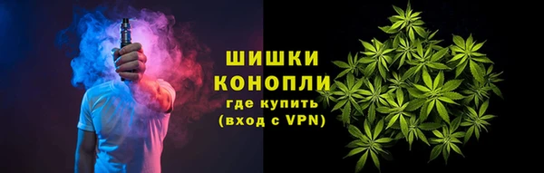 соль ск Лиски