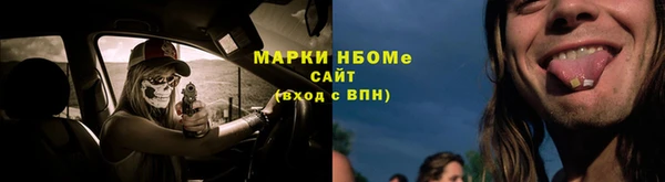 стаф Елизово