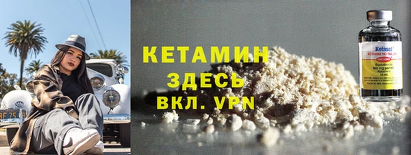 шишки Заводоуковск