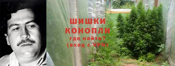 стаф Елизово