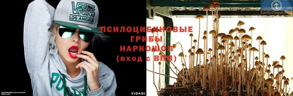 стаф Елизово